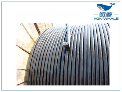 鄭州電纜廠家：什么是RVS電纜？